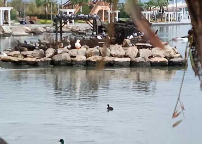 Cloud9 Homestay szállás