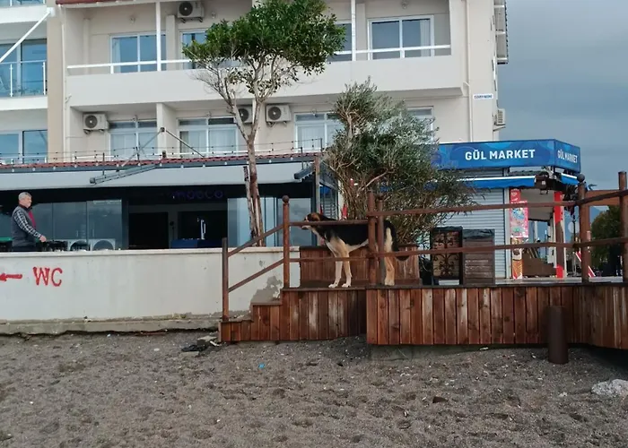 Homestay szállás Cloud9 *