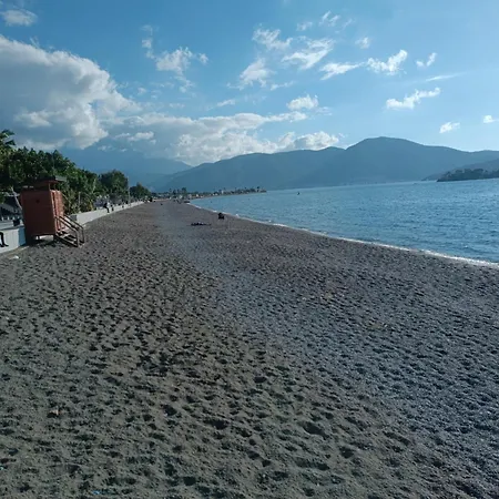 Cloud9 Проживание в семье *