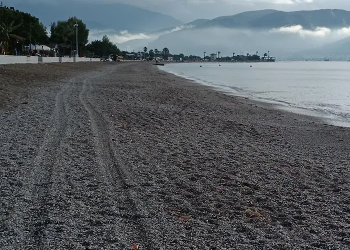 홈스테이 Cloud9 *