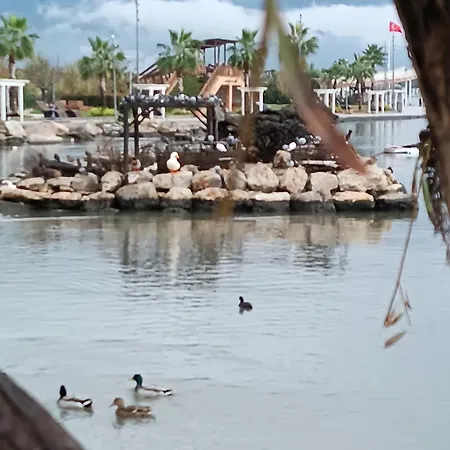 Cloud9 Privatunterkunft