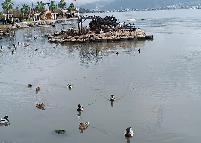 Alloggio in famiglia Cloud9