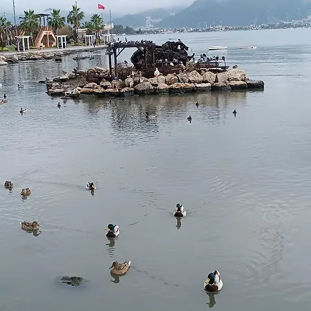 Accommodatie bij particulieren Cloud9