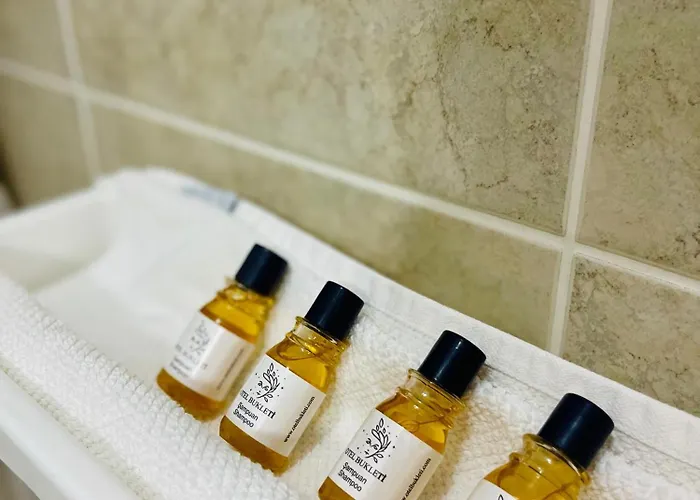 Cloud9 Accommodatie bij particulieren *